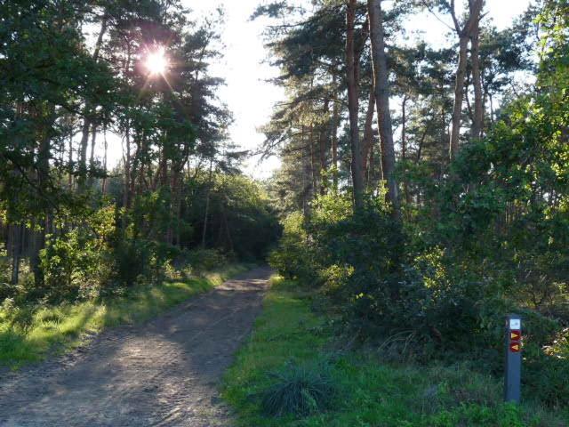 De Steegberg Holiday Home Севенум Екстериор снимка